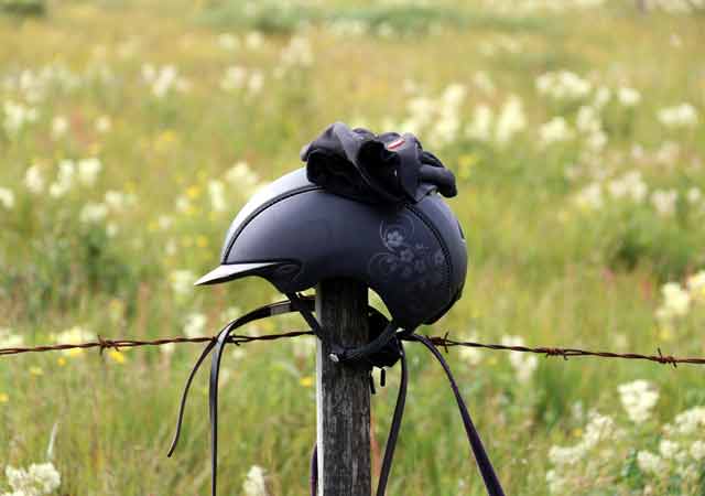 9 Tipps zum Reiten in Island | So klappt die Vorbereitung